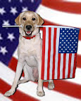 Phooey for Fireworks!