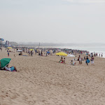 IMG_5244.JPG