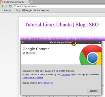 [chrome%252014%255B4%255D.jpg]