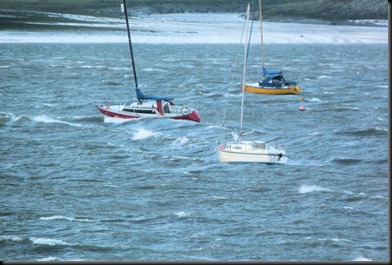 estuary 014