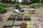 Planting The Skylands Terraces And Containers