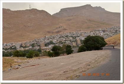 DSC_0739 DSC_0739