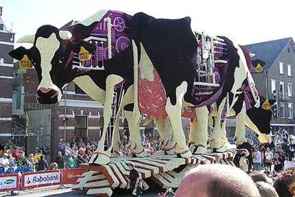 Bloemencorso-8