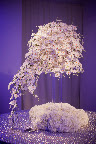Sylvia Weinstock made his gorgeous cake Sylvia Weinstock made his gorgeous cake