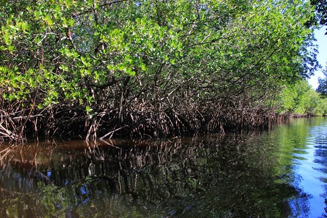 Canoing Collier Seminole