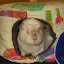 – Nylah – Nylah