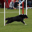 IMG_0781.JPG