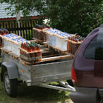 IMG_1073.JPG