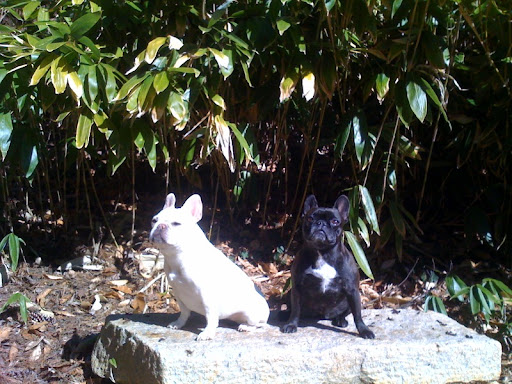 Fala and Winnie: Strike a pose!