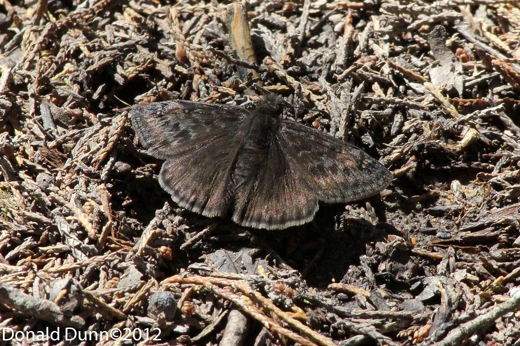 [120324_untitled_04%255B4%255D.jpg]