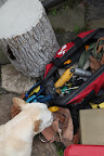 Hmmm - and there are lots of tools.