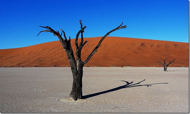 Sossusvlei_DSC00717 Sossusvlei_DSC00717