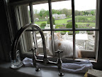How Much is That Kitty in the Window?