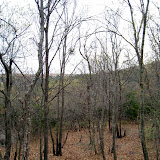 IMG_7739.JPG