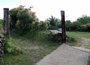 Kmalu skrenemo levo, desno so pasji drekci.