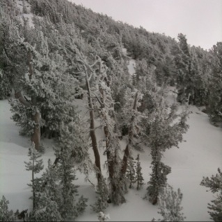 Spotting Image 1