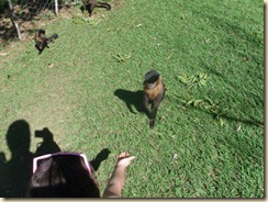 IMG_0417 IMG_0417