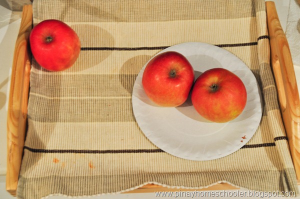 Still Life 101 ~ Apples