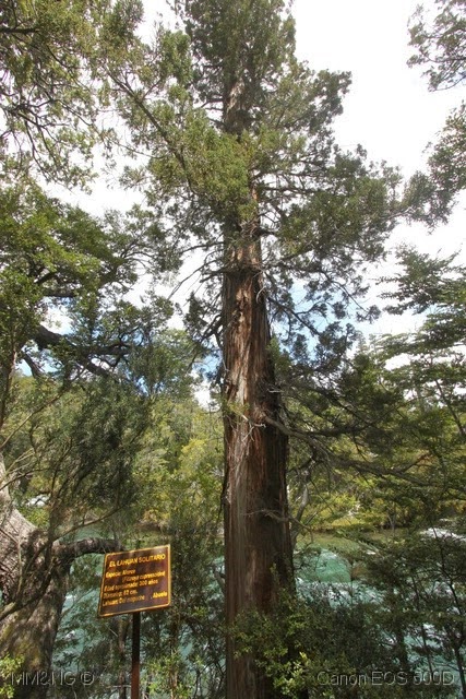 [IMG_3583%255B17%255D.jpg]