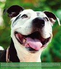Miles of smiles...
Photo of Elsie by Emilee Fuss