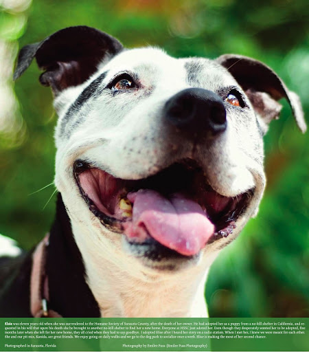 Miles of smiles...
Photo of Elsie by Emilee Fuss
