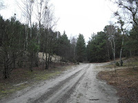 SAM_3738.JPG Photo
