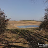 dsc06825.jpg