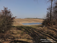 dsc06825.jpg