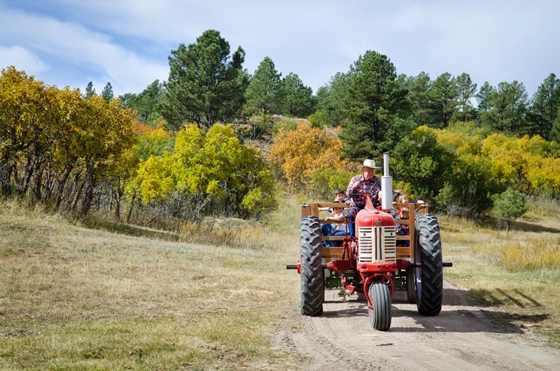 [pumpkinpatchMatt-8%255B4%255D.jpg]