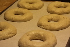 sourdough-bagels016