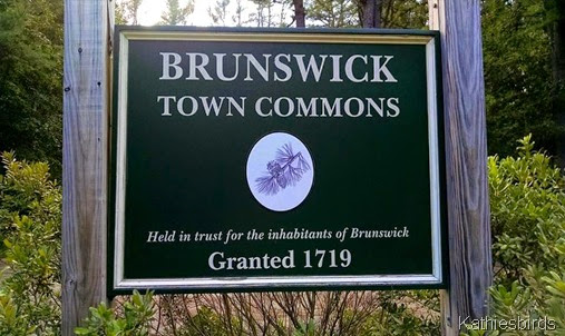 1. town commons sign 9-7-14