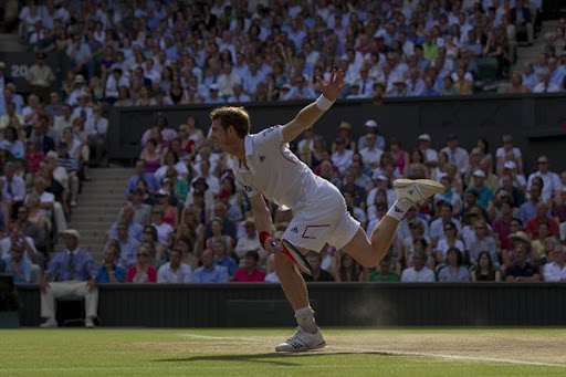 andy murray tennis player. andy murray tennis player.