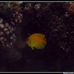 IMG_8836.JPG