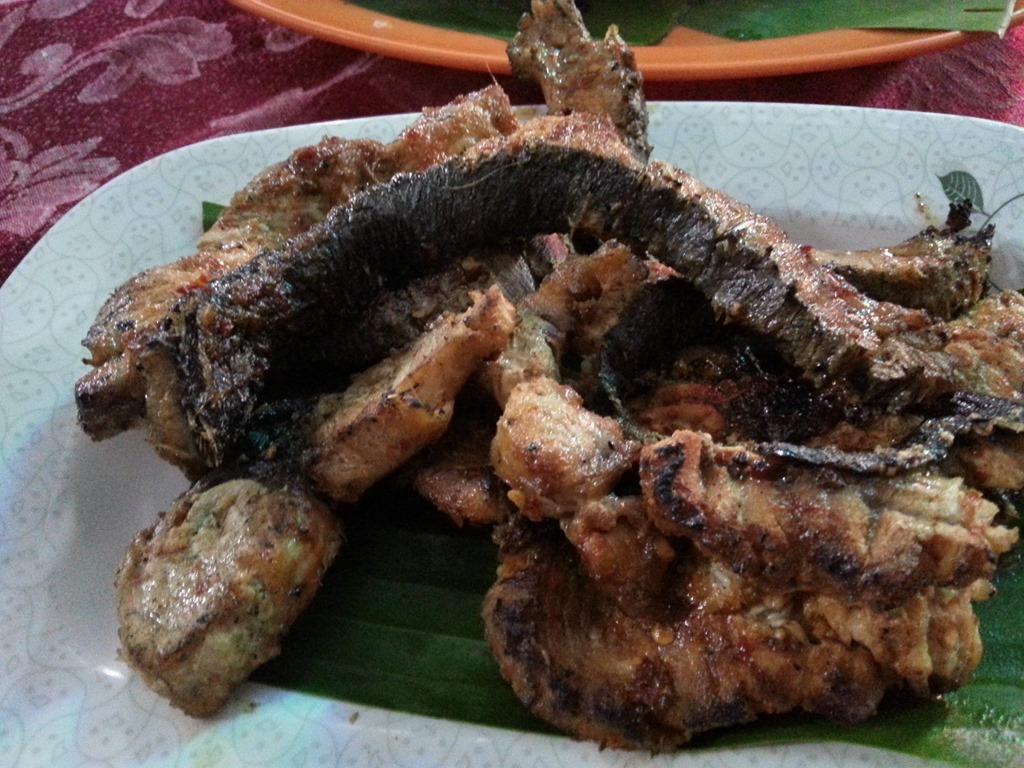 [20130316_195619_HDR%255B3%255D.jpg]