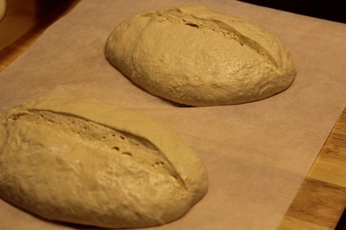 [sourdough_bread0295.jpg]