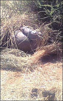 CLOETE Ernst Jacobus REHOBOTH BASTER farmer found murdered on commons land farm tortured to death Nov302011 HIDDEN BENEATH BRANCHES
