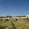 superleite2011_dia1607_55.JPG