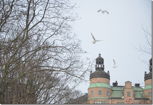 DSC_5277 DSC_5277