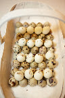 Hard-boiled quail egg