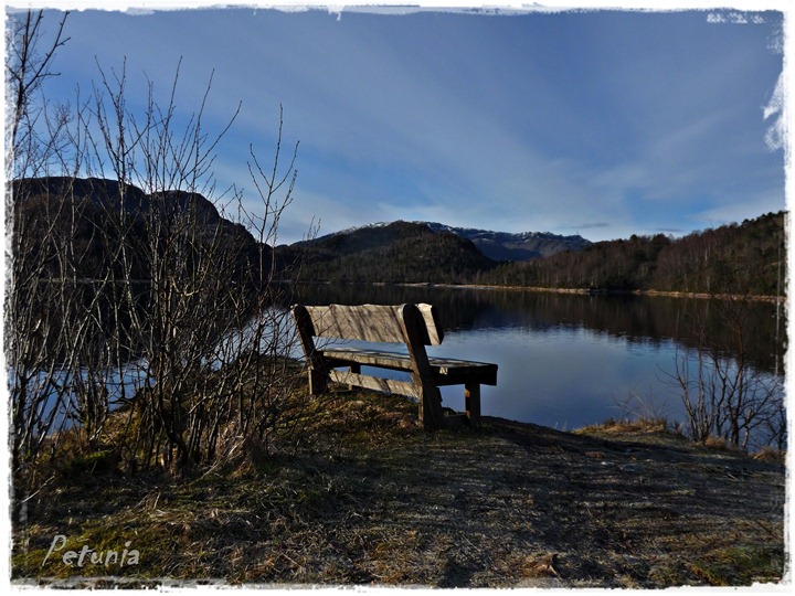 Himmelsk # 80 2