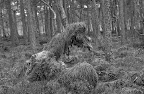 _MG_8949.jpg