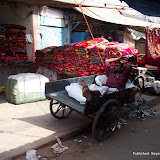 International Carpet Seller: Meena Bazaar, Delhi