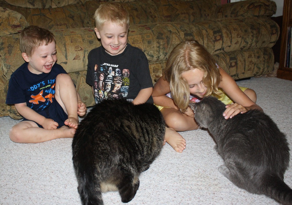 [best%2520family%2520pet%255B5%255D.jpg]