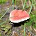 P1110948