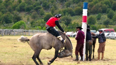 IMG 4861