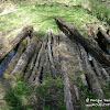 dzika kładka ;) dsc06267.jpg