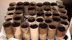 Tiny planters for seed starting from NatureMoms blog. (link below)