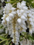 DSC03060.JPG