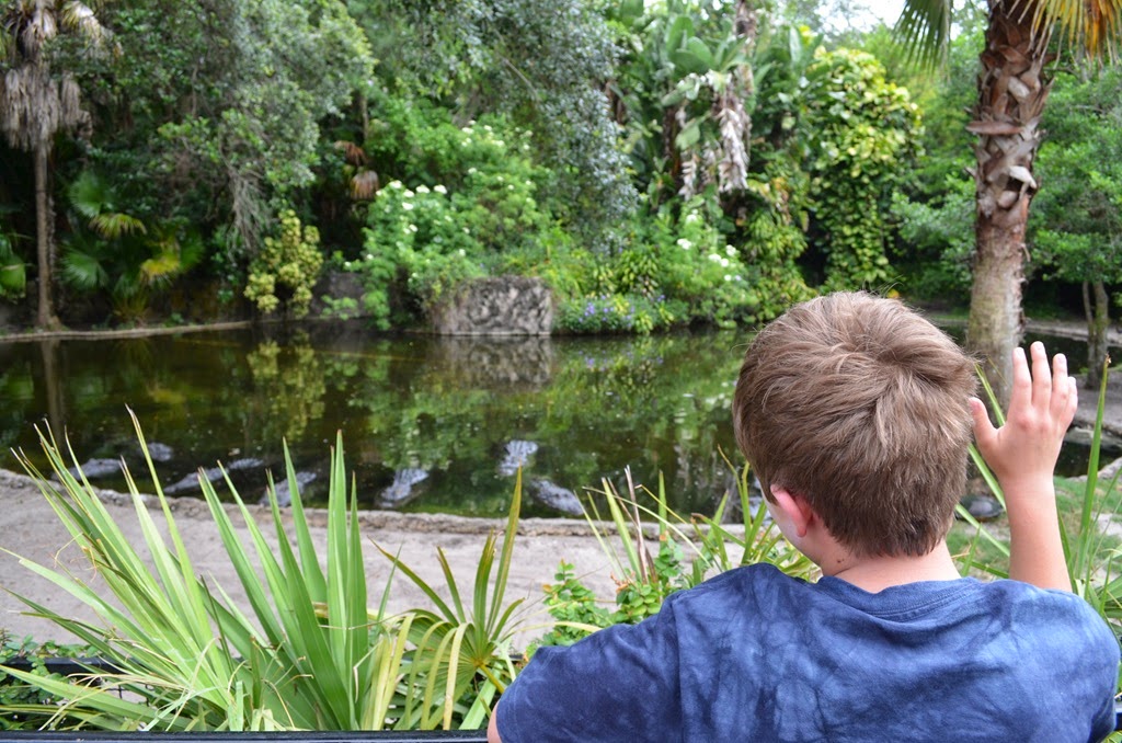 [DSC_8501%255B3%255D.jpg]