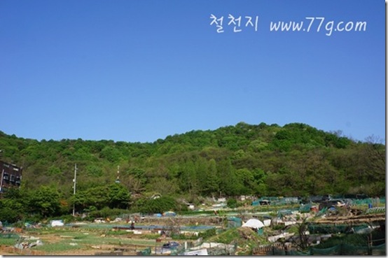 철천지DSC00479-20120504-082017 철천지DSC00479-20120504-082017